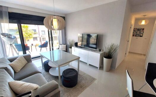 Modern top and corner apartment with roof terrace