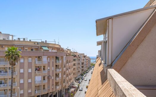 Toppleilighet ved nasjonsparken i Torrevieja